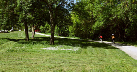 Gestion différenciée des espaces verts