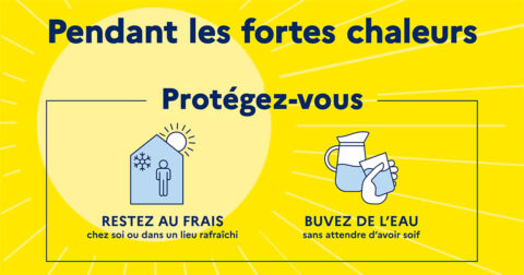 Fortes chaleurs : les bons réflexes